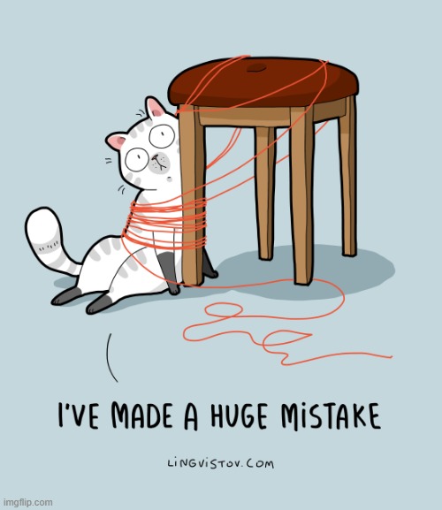 A Cat's Way Of Thinking | image tagged in memes,comics/cartoons,cats,yarn,tangled,ive made a huge mistake | made w/ Imgflip meme maker