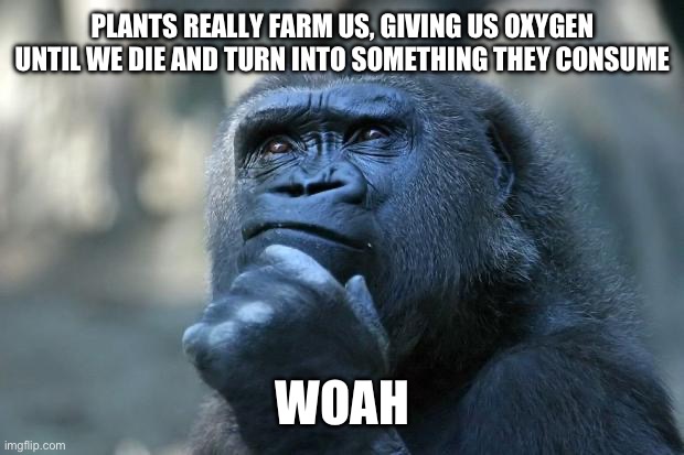 Shower thought I found | PLANTS REALLY FARM US, GIVING US OXYGEN UNTIL WE DIE AND TURN INTO SOMETHING THEY CONSUME; WOAH | image tagged in deep thoughts | made w/ Imgflip meme maker