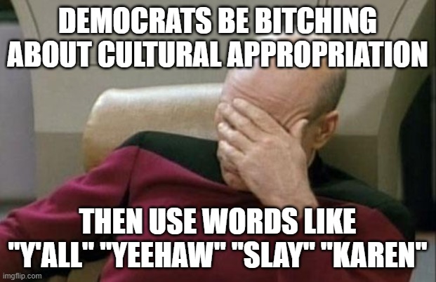 Cultural appropriation | DEMOCRATS BE BITCHING ABOUT CULTURAL APPROPRIATION; THEN USE WORDS LIKE "Y'ALL" "YEEHAW" "SLAY" "KAREN" | image tagged in memes,captain picard facepalm | made w/ Imgflip meme maker