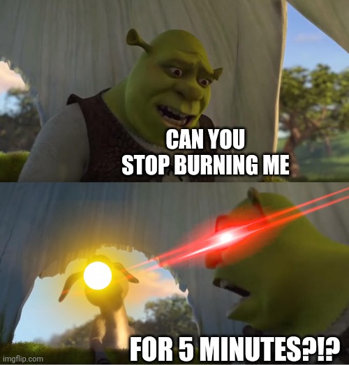 Shrek For Five Minutes | CAN YOU STOP BURNING ME FOR 5 MINUTES?!? | image tagged in shrek for five minutes | made w/ Imgflip meme maker
