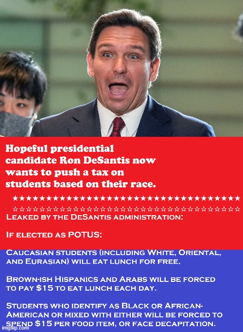 Ron DeSantis | image tagged in affirmative action | made w/ Imgflip meme maker