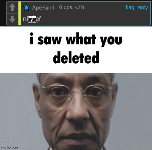 image tagged in i saw what you deleted,he said the n wodr | made w/ Imgflip meme maker