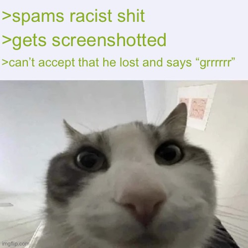 This is apefan | >spams racist shit >gets screenshotted >can’t accept that he lost and says “grrrrrr” | image tagged in green text cat | made w/ Imgflip meme maker