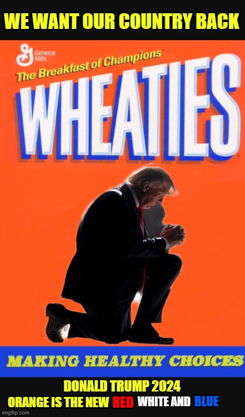 Donald Trump 2024 | WE WANT OUR COUNTRY BACK; DONALD TRUMP 2024; WHITE AND; BLUE; ORANGE IS THE NEW; RED | image tagged in wheaties box,memes,politics,political meme | made w/ Imgflip meme maker