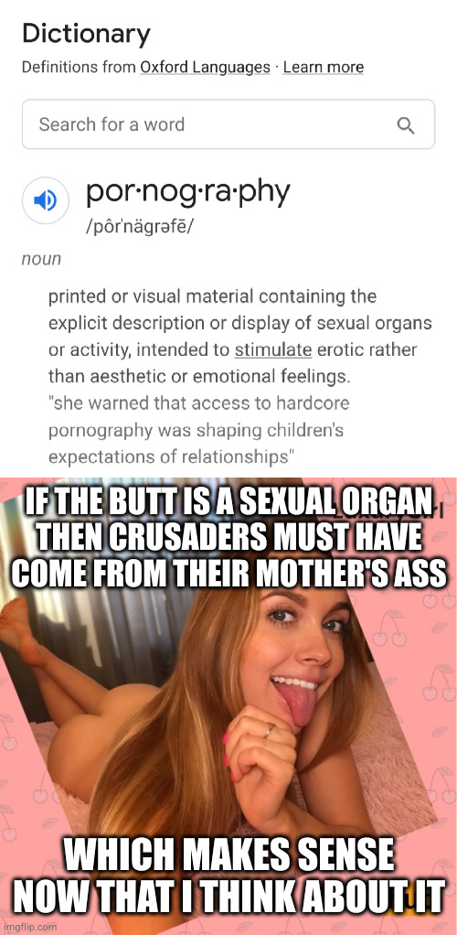 I can also see why they think sitting alone is a sex act XD | IF THE BUTT IS A SEXUAL ORGAN
THEN CRUSADERS MUST HAVE
COME FROM THEIR MOTHER'S ASS; WHICH MAKES SENSE NOW THAT I THINK ABOUT IT | image tagged in luxurygirl pornhub | made w/ Imgflip meme maker
