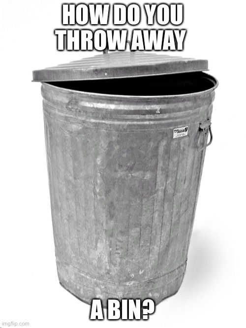 I’m a philosopher | HOW DO YOU THROW AWAY; A BIN? | image tagged in trash can | made w/ Imgflip meme maker