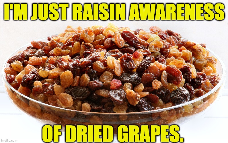 Raisin | I'M JUST RAISIN AWARENESS; OF DRIED GRAPES. | image tagged in bad pun | made w/ Imgflip meme maker