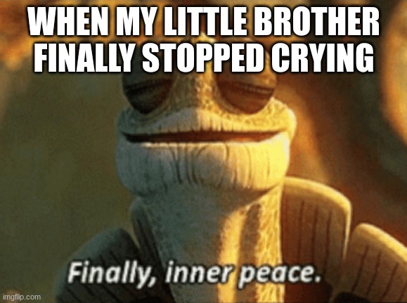 Image Title | WHEN MY LITTLE BROTHER FINALLY STOPPED CRYING | image tagged in finally inner peace | made w/ Imgflip meme maker