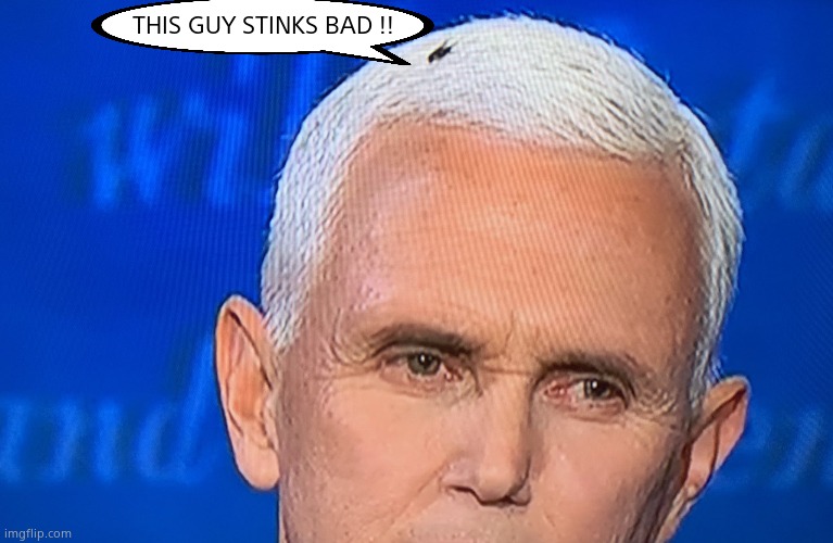 Pence Fly | THIS GUY STINKS BAD !! | image tagged in pence fly | made w/ Imgflip meme maker