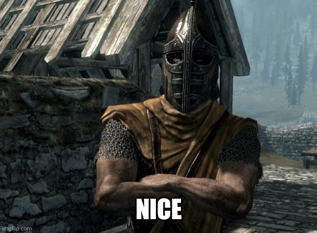 Skyrim guards be like | NICE | image tagged in skyrim guards be like | made w/ Imgflip meme maker