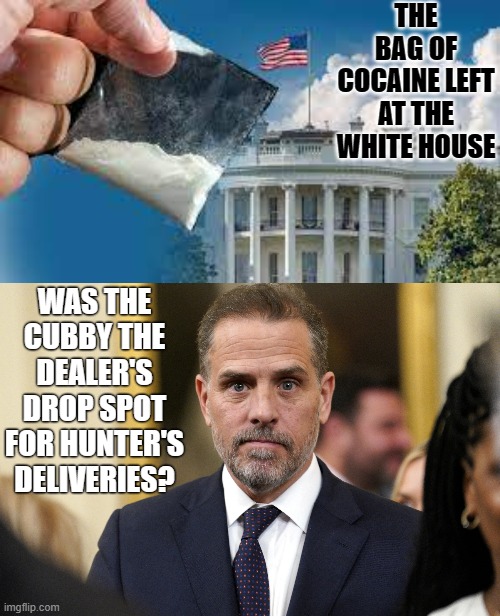 Since They Want To Play Games With Us...Let's Have Some Fun With it (Part1) | THE BAG OF COCAINE LEFT AT THE WHITE HOUSE; WAS THE CUBBY THE DEALER'S DROP SPOT FOR HUNTER'S DELIVERIES? | image tagged in memes,dealer,drop,hunter biden,cocaine,delivery | made w/ Imgflip meme maker