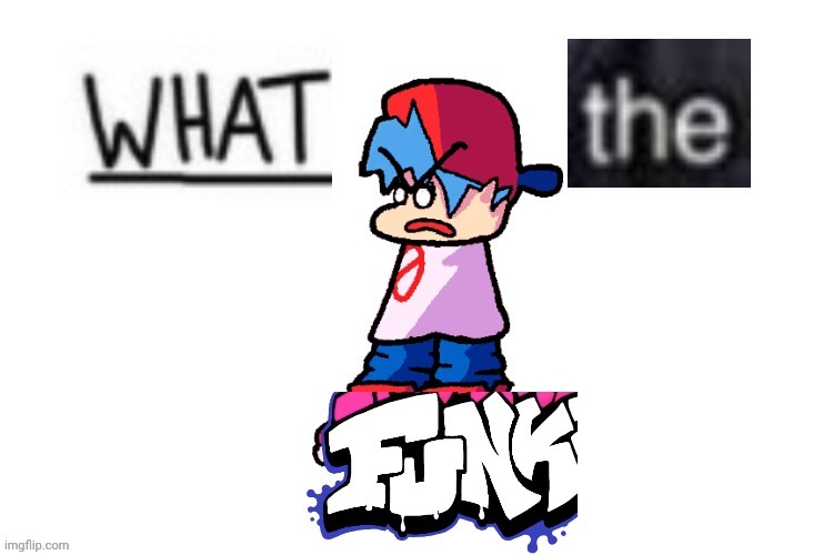 What the funk | image tagged in what the funk | made w/ Imgflip meme maker