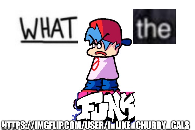 BRO WHAT THE- HELM GNAW | HTTPS://IMGFLIP.COM/USER/I_LIKE_CHUBBY_GALS | image tagged in what the funk | made w/ Imgflip meme maker