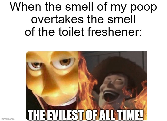 It smells so bad! | When the smell of my poop
overtakes the smell
of the toilet freshener:; THE EVILEST OF ALL TIME! | image tagged in evil woody,poop,toilet freshener,dumbas | made w/ Imgflip meme maker