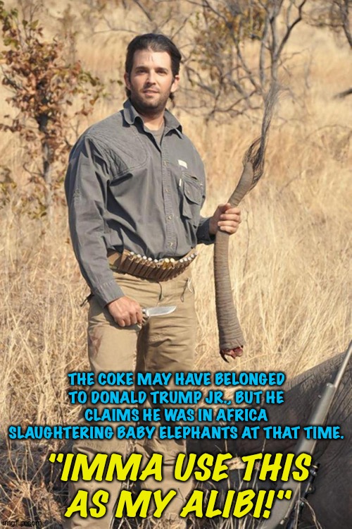 Donald's tale of the tail | THE COKE MAY HAVE BELONGED TO DONALD TRUMP JR., BUT HE CLAIMS HE WAS IN AFRICA SLAUGHTERING BABY ELEPHANTS AT THAT TIME. "IMMA USE THIS AS MY ALIBI!" | image tagged in donald trump jr | made w/ Imgflip meme maker