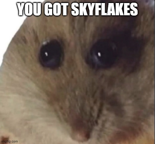 hampter | YOU GOT SKYFLAKES | image tagged in hampter | made w/ Imgflip meme maker
