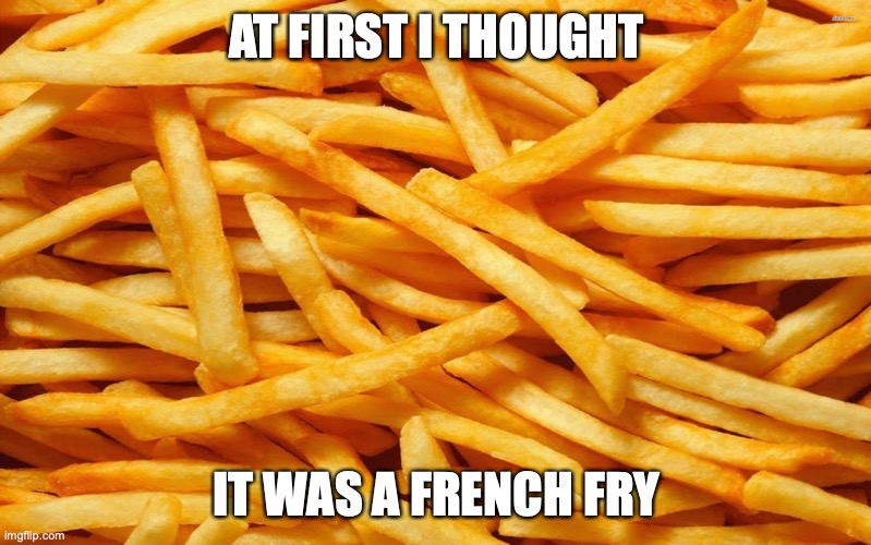 French Fries | AT FIRST I THOUGHT IT WAS A FRENCH FRY | image tagged in french fries | made w/ Imgflip meme maker