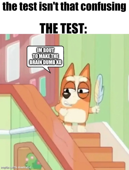 Bingo With Feather | the test isn't that confusing; THE TEST:; IM BOUT TO MAKE THE BRAIN DUMB XD | image tagged in bingo with feather | made w/ Imgflip meme maker