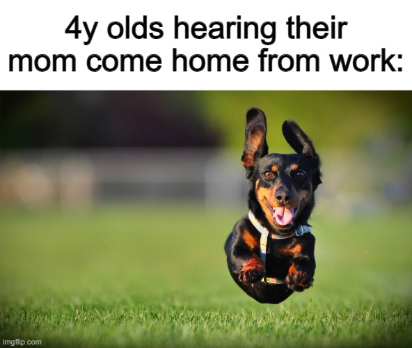 I used to relate to this :] obviously, I don't jump down the stairs to see my mom as fast as possible nowadays... | 4y olds hearing their mom come home from work: | image tagged in dog running | made w/ Imgflip meme maker