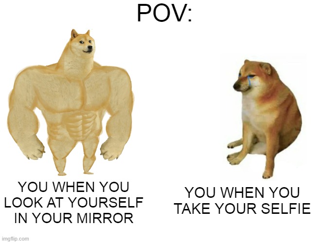 IT'S TRUE | POV:; YOU WHEN YOU TAKE YOUR SELFIE; YOU WHEN YOU LOOK AT YOURSELF IN YOUR MIRROR | image tagged in memes,buff doge vs cheems,meme,funny memes,funny,dog | made w/ Imgflip meme maker