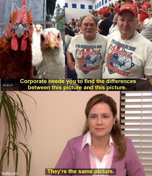 image tagged in angry chickens,i'd rather be russian,memes,they're the same picture | made w/ Imgflip meme maker