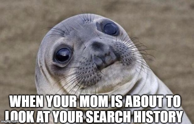 Awkward Moment Sealion | WHEN YOUR MOM IS ABOUT TO LOOK AT YOUR SEARCH HISTORY | image tagged in memes,awkward moment sealion | made w/ Imgflip meme maker