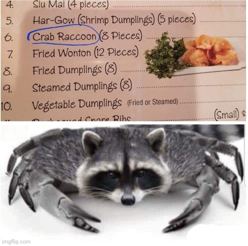 Crab Raccoon | image tagged in crab raccoon,crab rangoon,memes,repost,reposts,food | made w/ Imgflip meme maker
