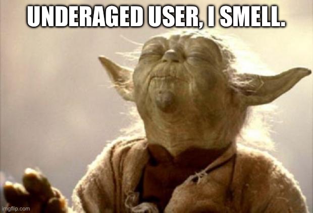 yoda smell | UNDERAGED USER, I SMELL. | image tagged in yoda smell | made w/ Imgflip meme maker