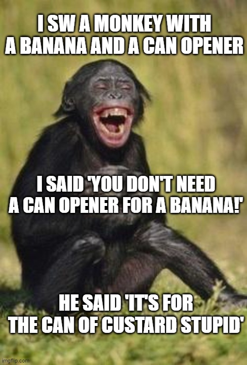 Laughing monkey | I SW A MONKEY WITH A BANANA AND A CAN OPENER; I SAID 'YOU DON'T NEED A CAN OPENER FOR A BANANA!'; HE SAID 'IT'S FOR THE CAN OF CUSTARD STUPID' | image tagged in laughing monkey | made w/ Imgflip meme maker