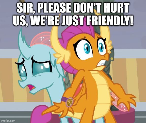 SIR, PLEASE DON'T HURT US, WE'RE JUST FRIENDLY! | made w/ Imgflip meme maker