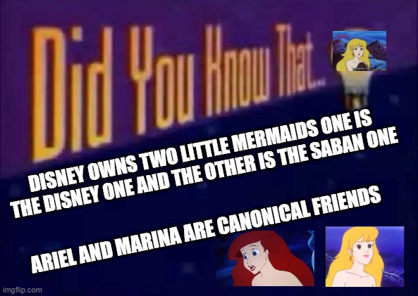 animation facts | DISNEY OWNS TWO LITTLE MERMAIDS ONE IS THE DISNEY ONE AND THE OTHER IS THE SABAN ONE; ARIEL AND MARINA ARE CANONICAL FRIENDS | image tagged in did you know that,animation,disney,the little mermaid,nick saban,anime | made w/ Imgflip meme maker
