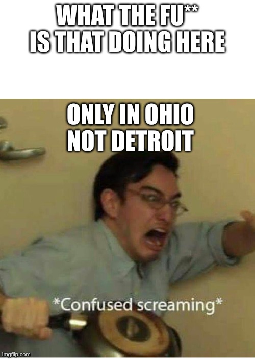 confused screaming | WHAT THE FU** IS THAT DOING HERE ONLY IN OHIO NOT DETROIT | image tagged in confused screaming | made w/ Imgflip meme maker