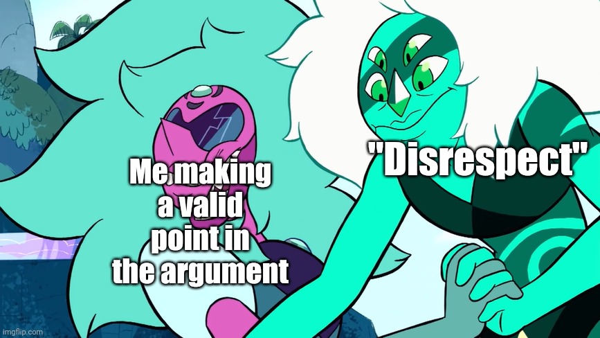 Disrespect | Me making a valid point in the argument; "Disrespect" | image tagged in malachite punching alexandrite | made w/ Imgflip meme maker