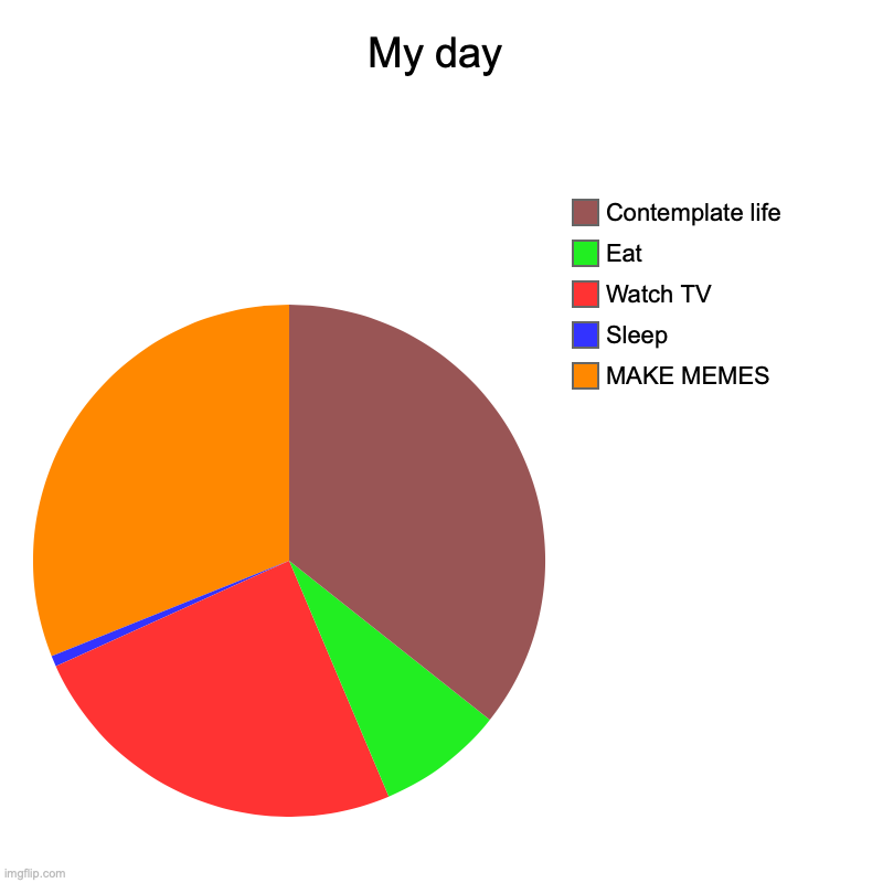 My day | MAKE MEMES, Sleep, Watch TV, Eat, Contemplate life | image tagged in charts,pie charts | made w/ Imgflip chart maker