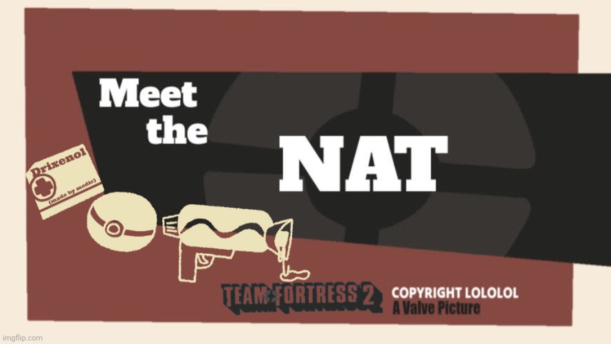 Meet the Nat | image tagged in meet the nat | made w/ Imgflip meme maker