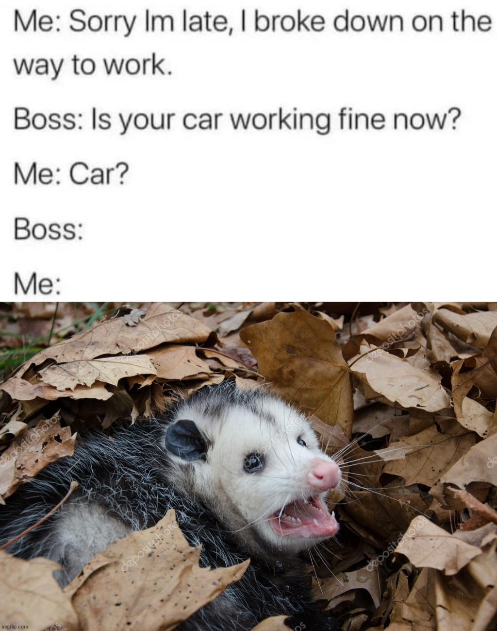 image tagged in existential possum | made w/ Imgflip meme maker