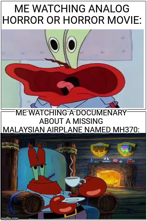 Blank Comic Panel 1x2 Meme | ME WATCHING ANALOG HORROR OR HORROR MOVIE:; ME WATCHING A DOCUMENARY ABOUT A MISSING MALAYSIAN AIRPLANE NAMED MH370: | image tagged in memes,blank comic panel 1x2 | made w/ Imgflip meme maker