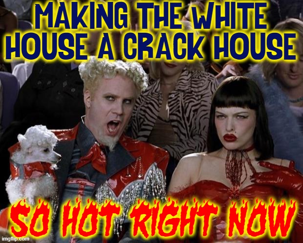 Who would have ever thunk it? | MAKING THE WHITE HOUSE A CRACK HOUSE; SO HOT RIGHT NOW | image tagged in memes,vince vance,mugatu so hot right now,hunter biden,crack house,white house | made w/ Imgflip meme maker