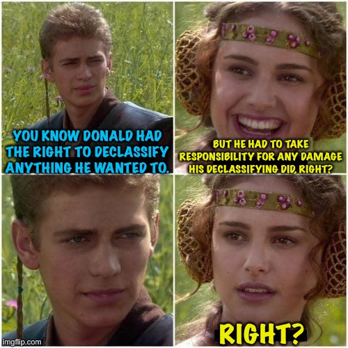 The question isn't whether he could, it's whether he should. | BUT HE HAD TO TAKE RESPONSIBILITY FOR ANY DAMAGE HIS DECLASSIFYING DID, RIGHT? YOU KNOW DONALD HAD THE RIGHT TO DECLASSIFY ANYTHING HE WANTED TO. RIGHT? | image tagged in anakin and padme | made w/ Imgflip meme maker