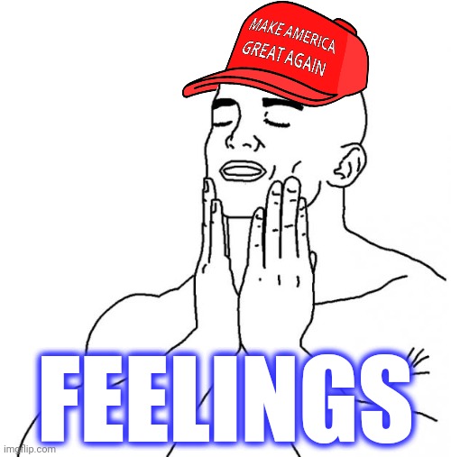 Feels Good Man | FEELINGS | image tagged in feels good man | made w/ Imgflip meme maker