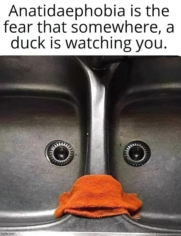 image tagged in ducks | made w/ Imgflip meme maker
