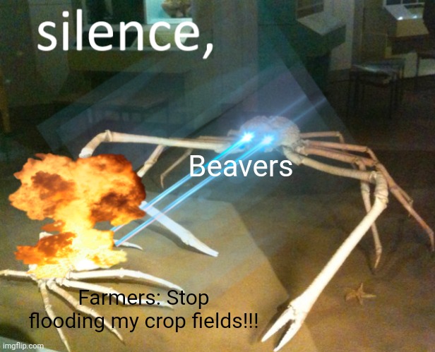 Beavers are menaces | Beavers; Farmers: Stop flooding my crop fields!!! | image tagged in silence crab | made w/ Imgflip meme maker