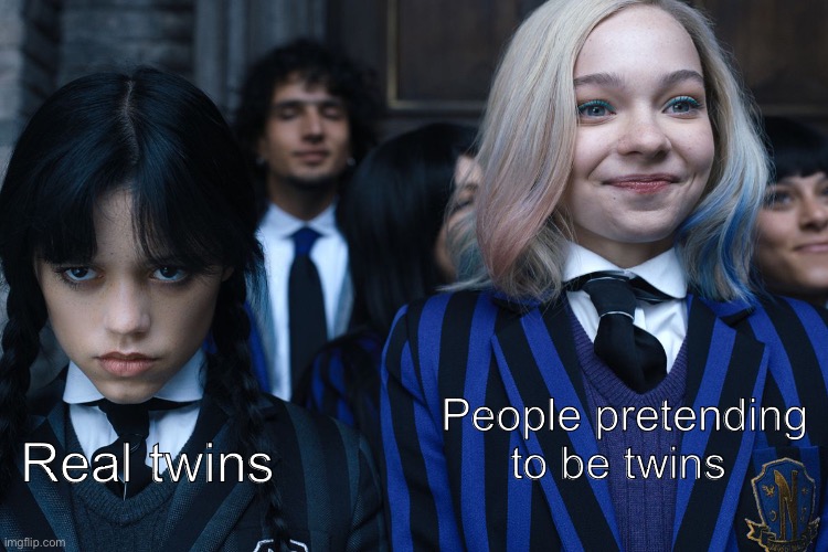 I am one so I would know | People pretending to be twins; Real twins | image tagged in wednesday and enid,twins | made w/ Imgflip meme maker