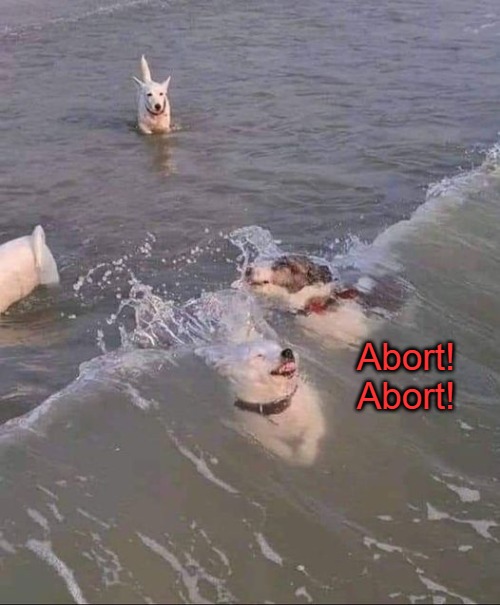 Abort! Abort! | made w/ Imgflip meme maker