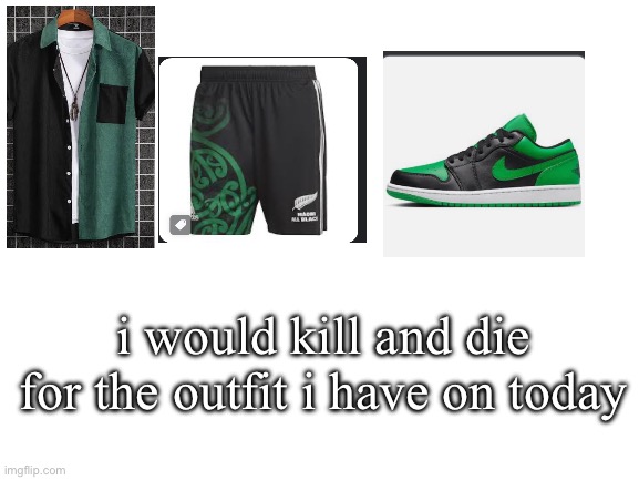 literally | i would kill and die for the outfit i have on today | image tagged in blank white template | made w/ Imgflip meme maker