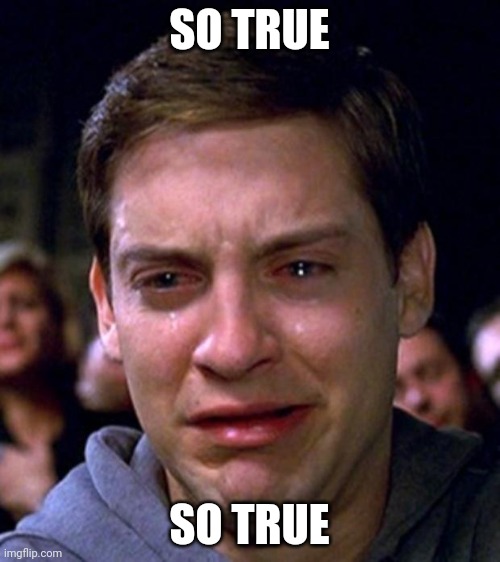 crying peter parker | SO TRUE SO TRUE | image tagged in crying peter parker | made w/ Imgflip meme maker