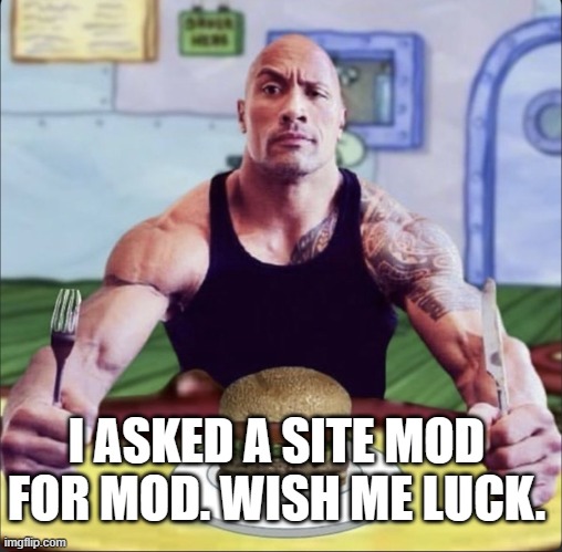 Post shit | I ASKED A SITE MOD FOR MOD. WISH ME LUCK. | image tagged in post shit | made w/ Imgflip meme maker