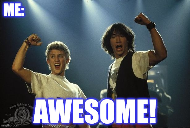 Bill and Ted awesome dude | ME: AWESOME! | image tagged in bill and ted awesome dude | made w/ Imgflip meme maker