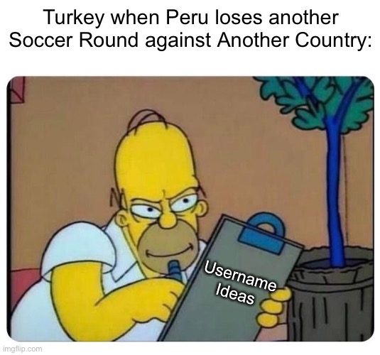 We can tell it’s a Turkey Alt by Telling the Country Comparison and Peru is Worse. | Turkey when Peru loses another Soccer Round against Another Country:; Username Ideas | image tagged in homer simpson clipboard | made w/ Imgflip meme maker