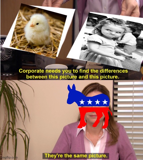 They're The Same Picture Meme | image tagged in memes,they're the same picture | made w/ Imgflip meme maker